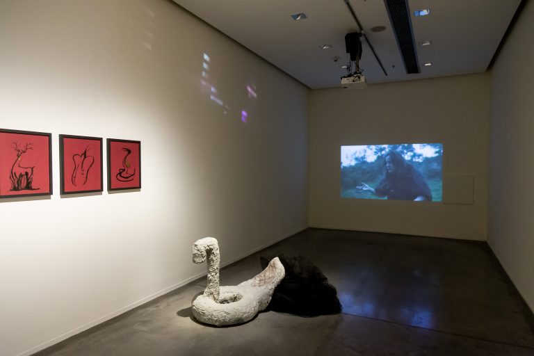 Foto muestra sala de Bravaria, la exposición de Sofia Torres Kosiba en el Moderno