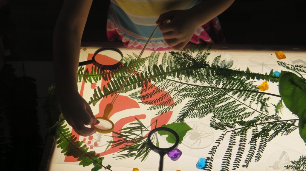 Una niña explora texturas y formas naturales en una mesa de luz, utilizando lupas para observar con detalle las hojas y otros elementos vegetales dispuestos sobre una superficie iluminada.