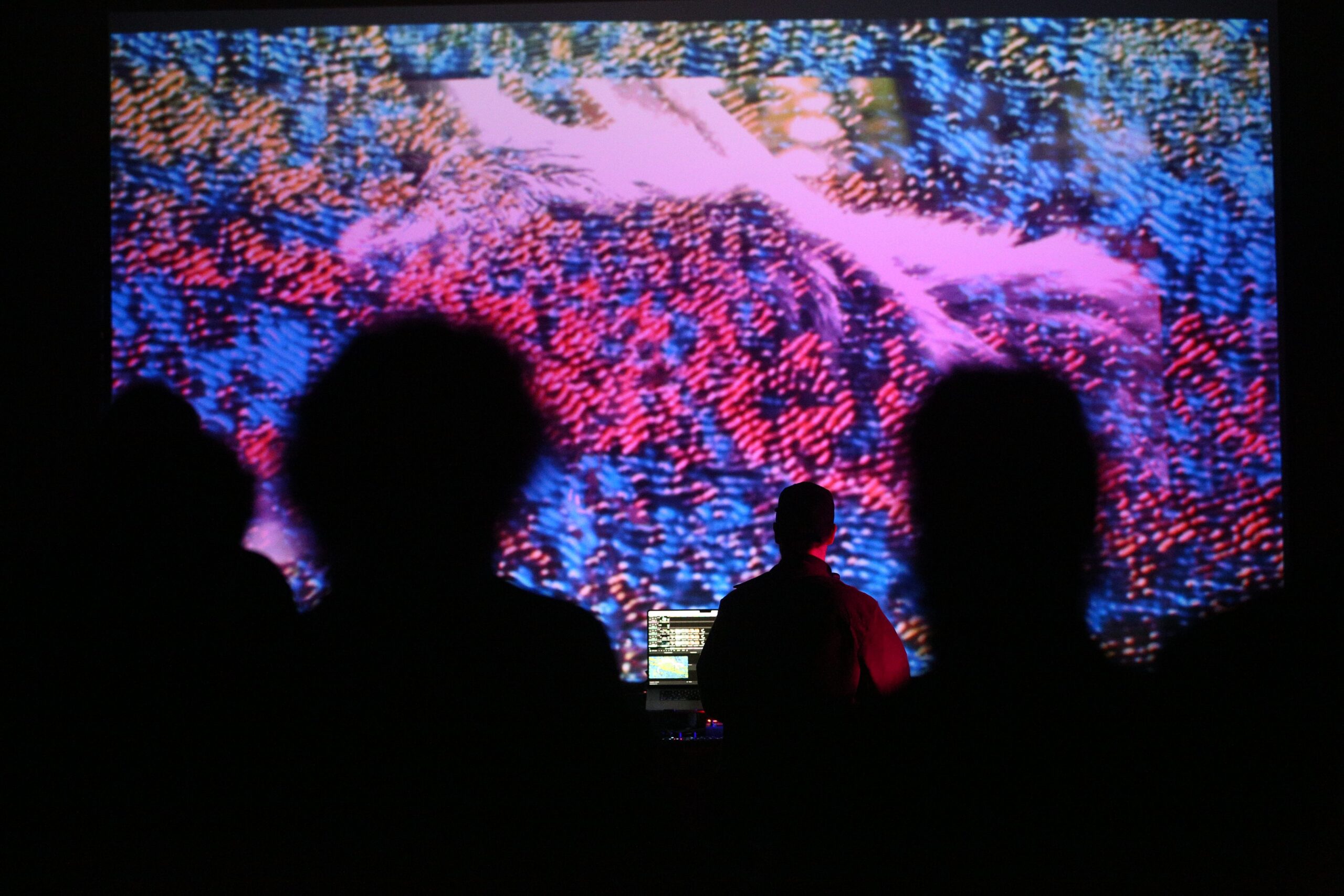 Antiplan 2024 en “Escuchar” Fotografía: Gerardo Viercovich Museo de Arte Moderno de Buenos Aires