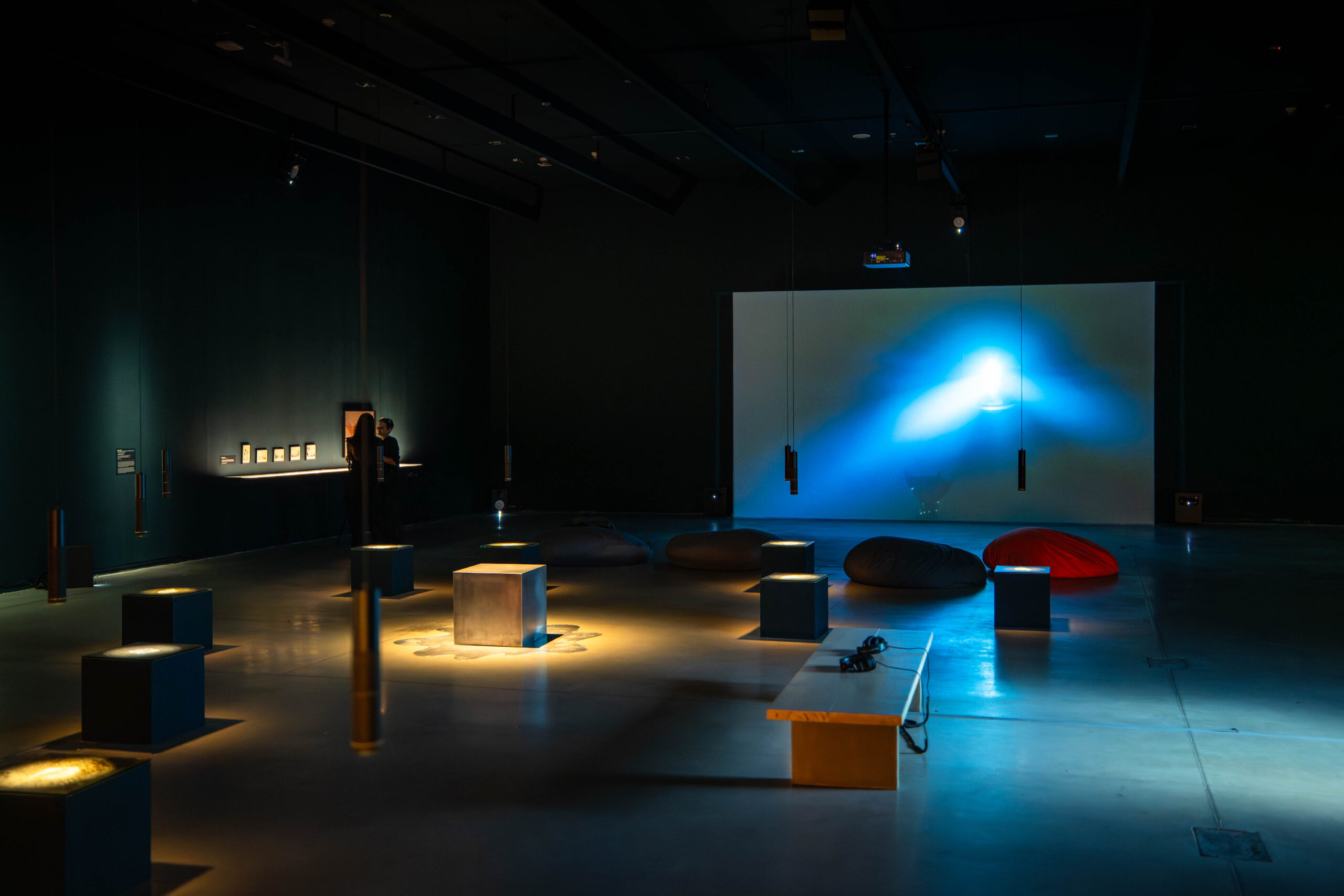 La fotografía muestra la imagen de la sala Océano interior en el segundo subsuelo del Museo