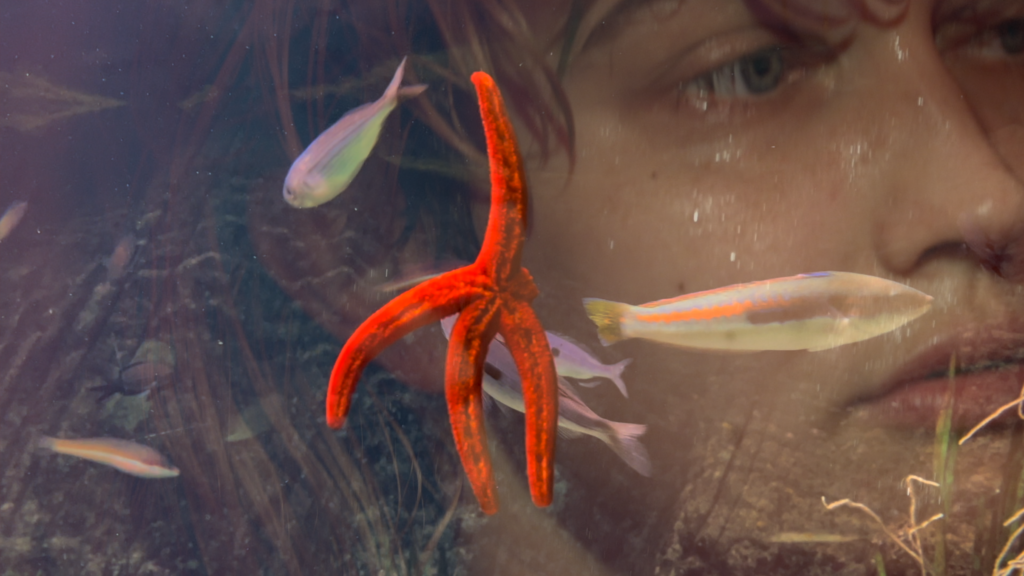 Inmersiones: Jean Painlevé y Laure Prouvost