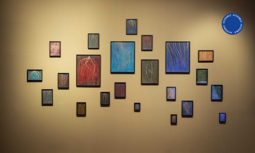 En la fotografía a color se observan una serie de obras de Virginia Buitrón exhibidas en la exposición Naturaleza arquitecta en el Museo Moderno
