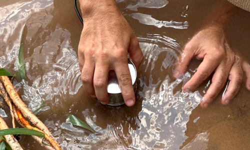 Hidrofonía_Humedal