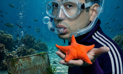 En la imagen a color Leo García sosteniendo la estrellita culona descubierta por el CONICET con un snorquel en el fondo del agua.